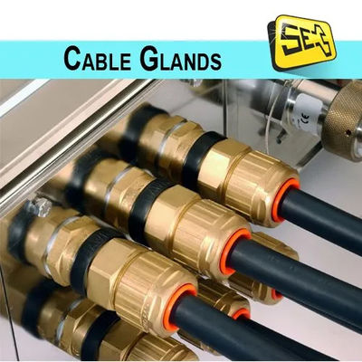 M14X1.5 (((4-8) Máy kết nối các tuyến đồng mạ đốm nickel cho cáp IP68